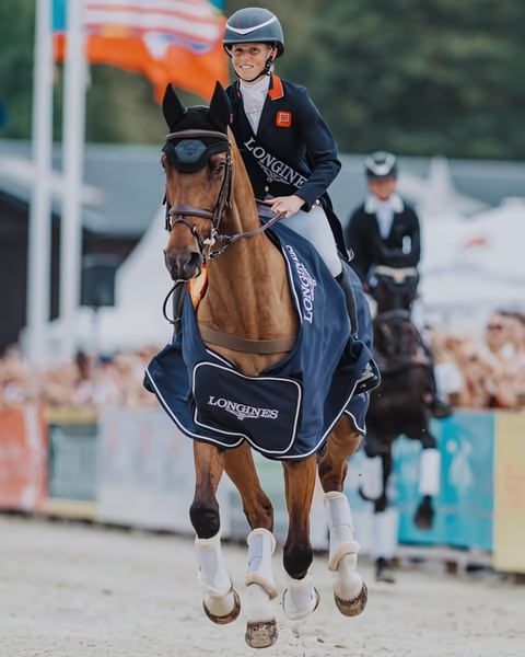 equestrian event, show jumping, horse competition, sports event, brand sponsorship, brand awareness, lifestyle, energetic, blue, neutral